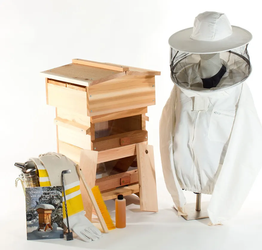 Bee Thinking