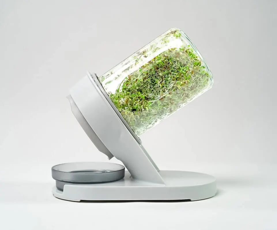 The Sprouting Company